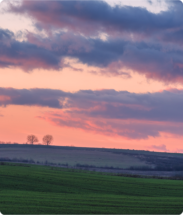 A serene landscape at sunset with a green grassy field in the foreground, rolling hills in the middle, and a dramatic sky painted with pink and purple clouds. Two bare trees stand on the horizon.