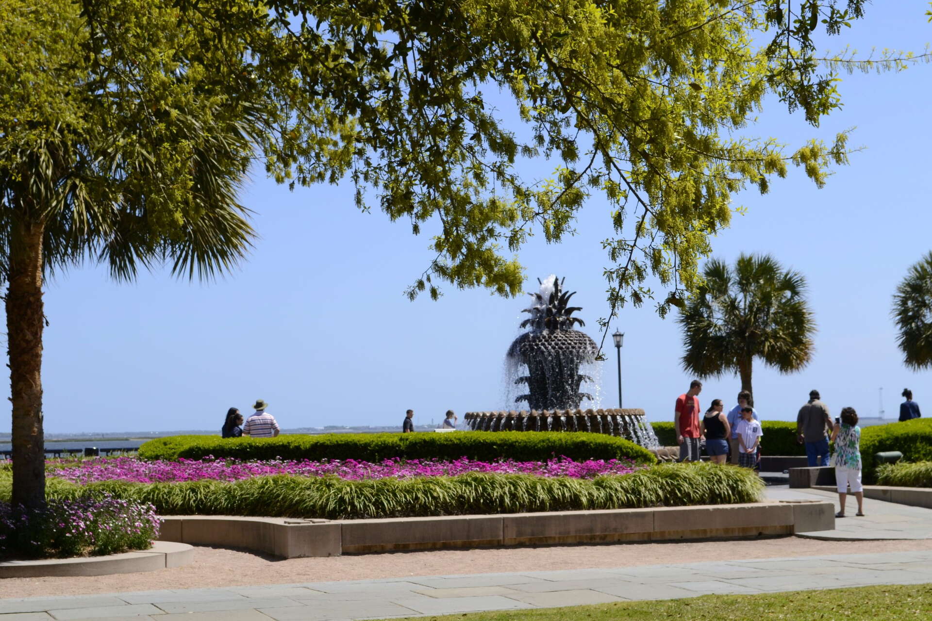 charleston financial planner