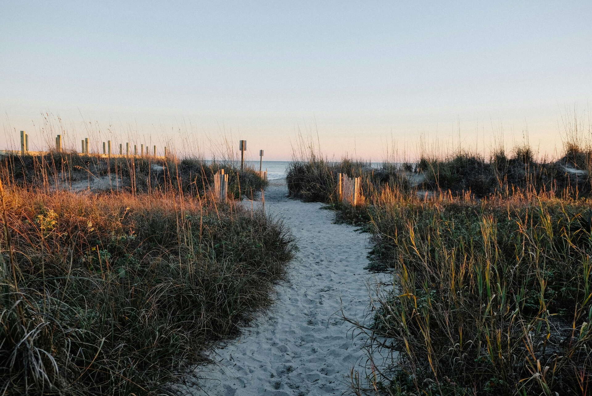 A sandy path leads through tall grass and dunes toward the ocean, with soft evening light illuminating the scene and a clear sky overhead.