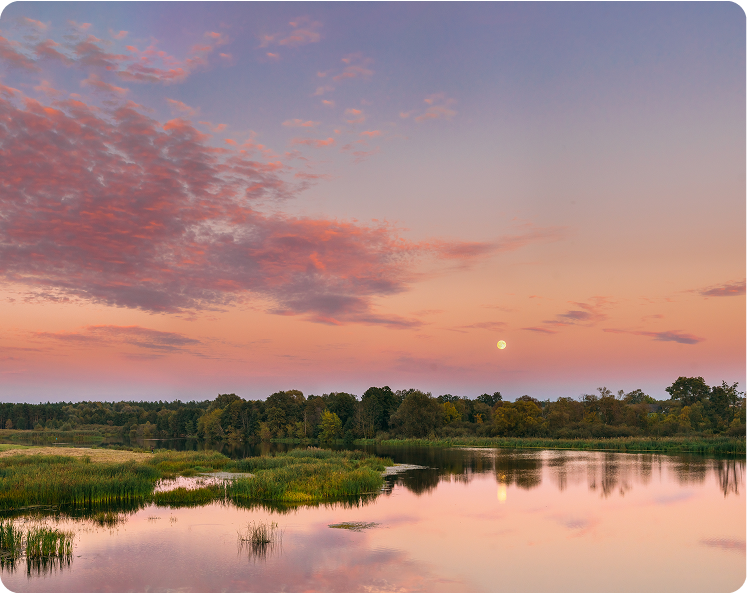 A serene lake at sunset with pink and purple clouds, still water reflecting the sky, green reeds, and a distant tree line under a rising full moon.