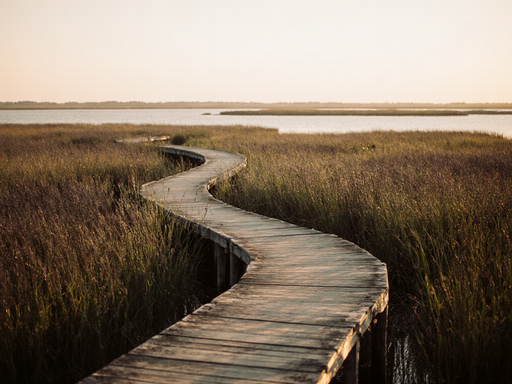 A marsh boardwalk through Lowcountry spartina grass near Charleston, SC